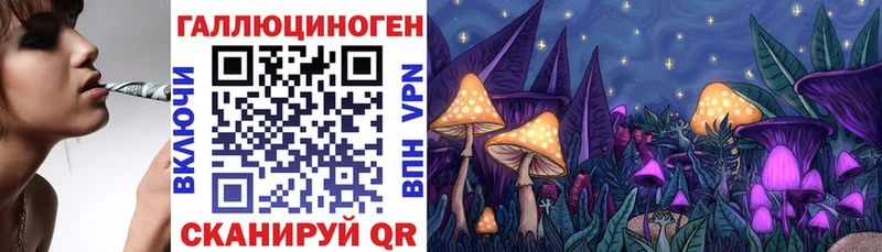 Галлюциногенные грибы Psilocybe  Вятские Поляны 
