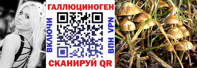 Галлюциногенные грибы Magic Shrooms Вятские Поляны